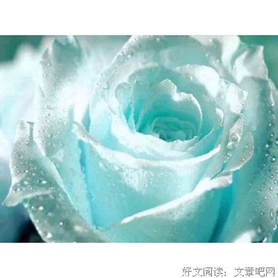 关于请为我唱一曲离歌的句子