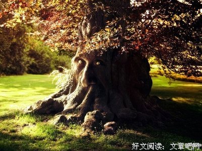 有关随手的句子