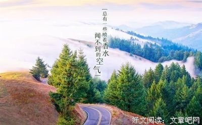关于心灵的优美句子