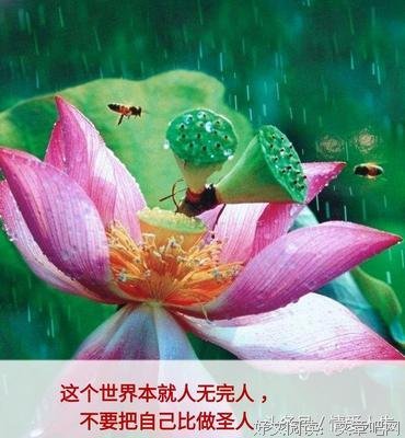 有个懂你的人真好