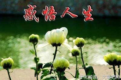 最全的《死亡的幻象》好段摘抄