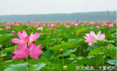 关于别样的语句