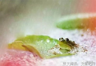 失落的名句_关于失落的名句