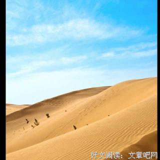 愿有一人，懂你背后的苦