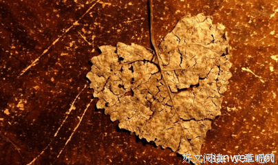 描写稳健的经典句子