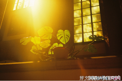原味的句子