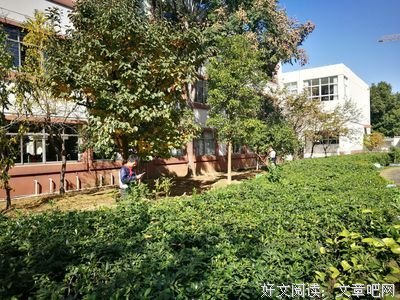 关于万红的格言