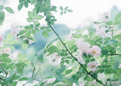 青春句子大全