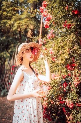 《美到窒息的文字》的句子