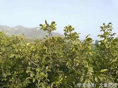 随手摘经典的句子