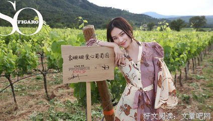 关于逆光的优美句子
