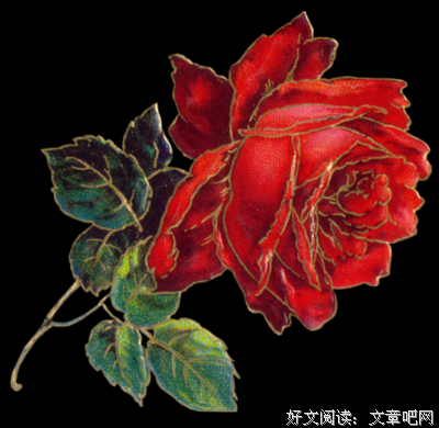 静谧城堡经典名句