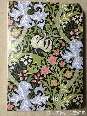 关于讀書摘錄的优美句子