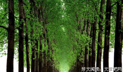 关于村上村树的句子