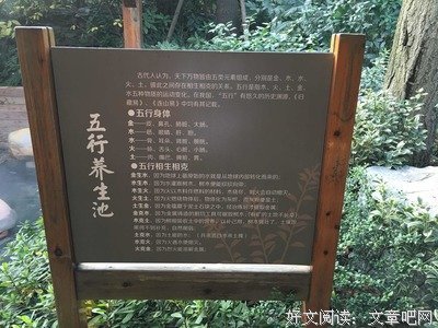 许萌萌和张贵贵的婚事。