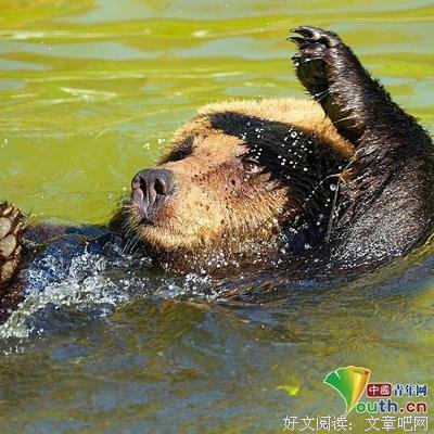 越“穷”越精致的消费观，正在摧毁年轻人的生活