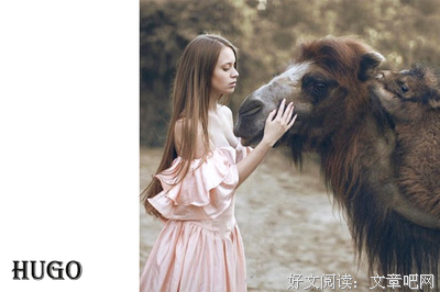你那么懂事，一定没人疼吧