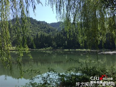 ​纳兰评潘维组诗《童年，孝丰镇》