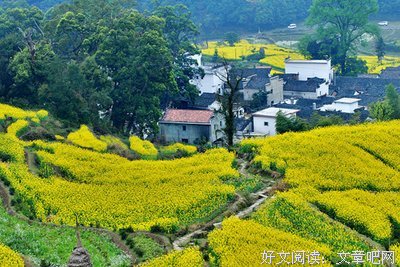 关于不足为奇的语句