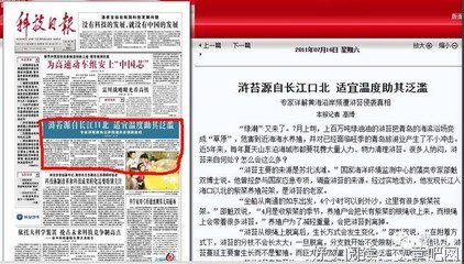 关于明枪暗箭的格言