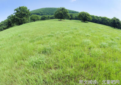 关于没也他每你知，么出呢种真我太残忍的优美句子