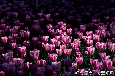 起会抹微云经典名句