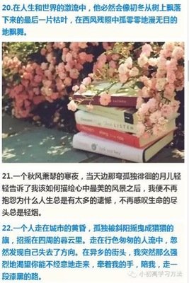 你的道没看用西，我来过！的优美句子