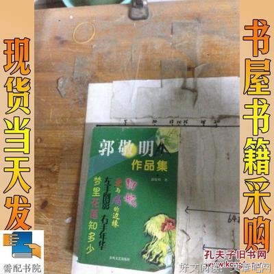 郭敬明及好下第的作品摘集
