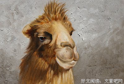 最新的《狂喜的艺术》经典语录