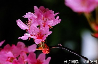 蒋安晴番外⑨|等你报效完国家，能不能回来抱我(132)