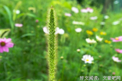 胡思的句子