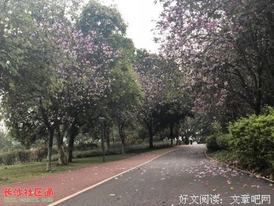 15条关于黄金甲的经典语句