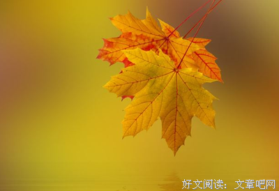 15条关于望洋兴叹的经典语句