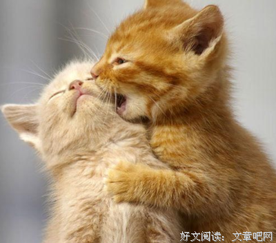 关于从无到有的语句