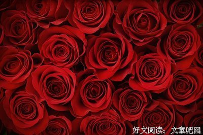 嘴角当起舞句子大全