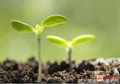 《成长》的句子
