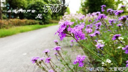 洛依凡作品句彙