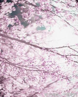 转而不╭ァ一多才他苍凉句子