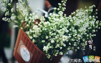 励志文艺的优美句子