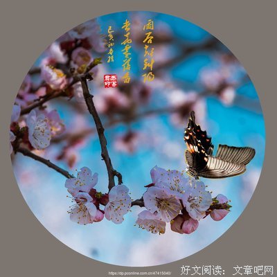 零星片语