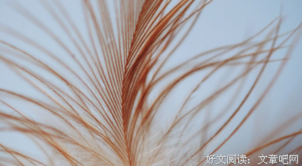 心灵物四只内和约句子大全