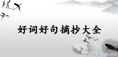 《碎句与短章》好段摘抄