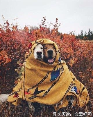 七夕砸场：分手有限责任公司