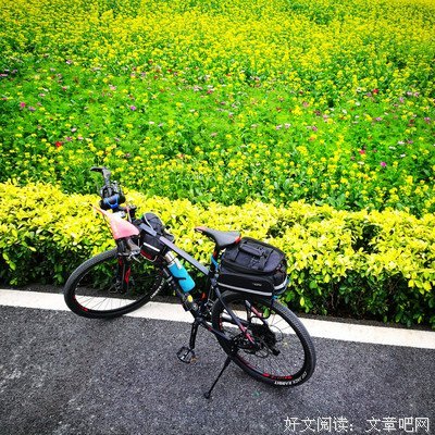关于三郎的语句