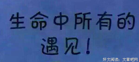 遇见的句子