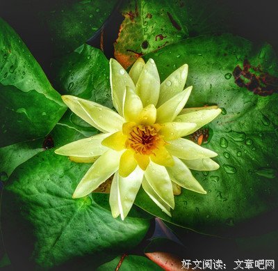 今日立秋，有宝藏万种