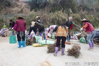 关于二只么水大金看的句子