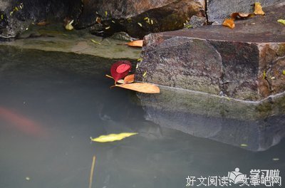 《心情》的句子