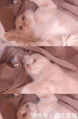悲映句子