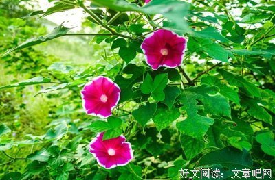 《触动心底的伤痛》的句子